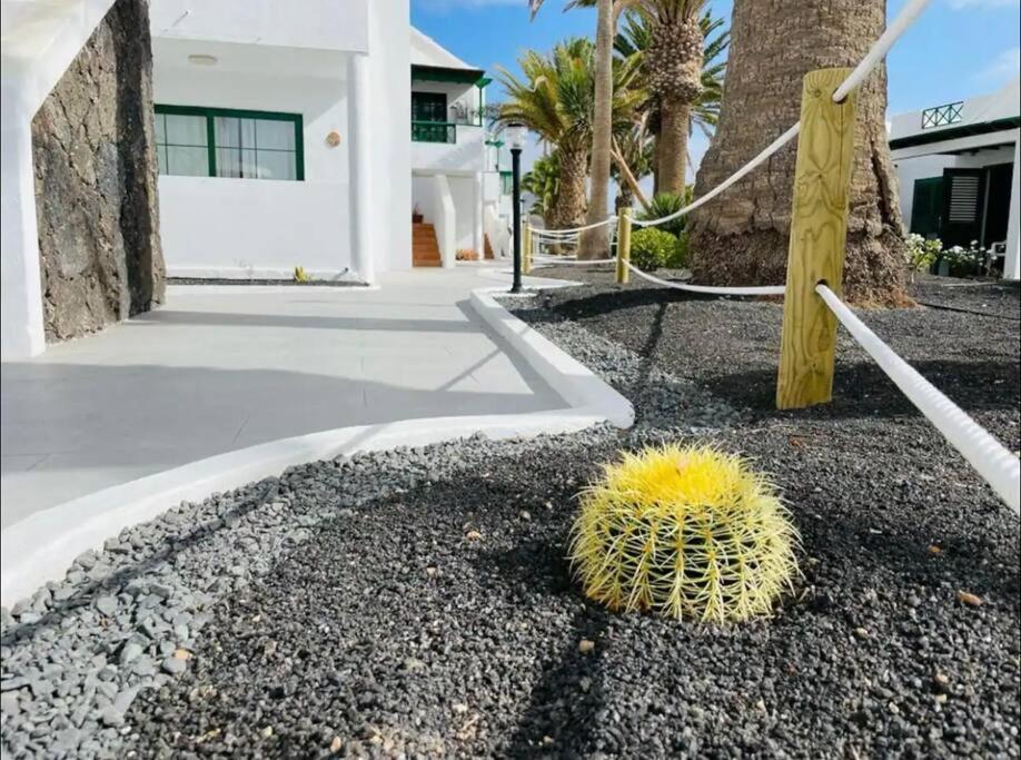 Refugio Del Caracol * Puerto del Carmen (Lanzarote)